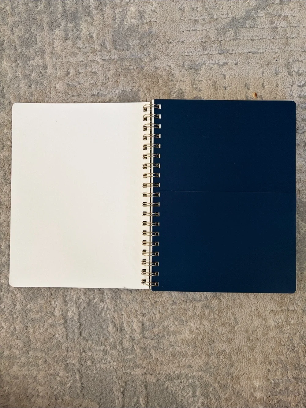 Fringe Studio Celestial Constellations Notebook - Black and Gold
